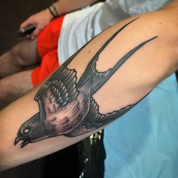 Tatouage gravure, illustratif et trad revisité réalisé par Julien L’Apostat, à Toulouse