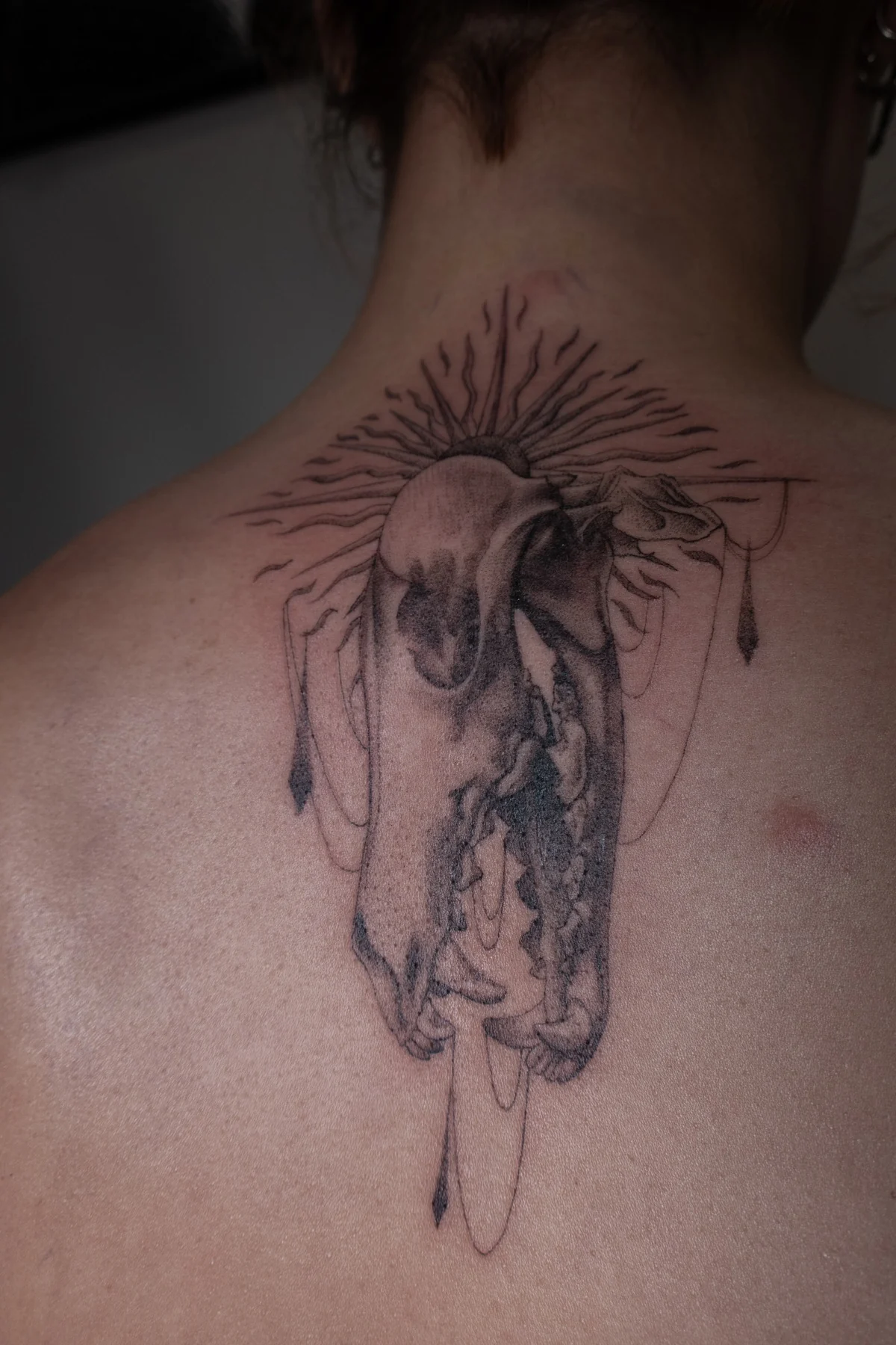 Tatouage fineline réalisé par May, à Toulouse