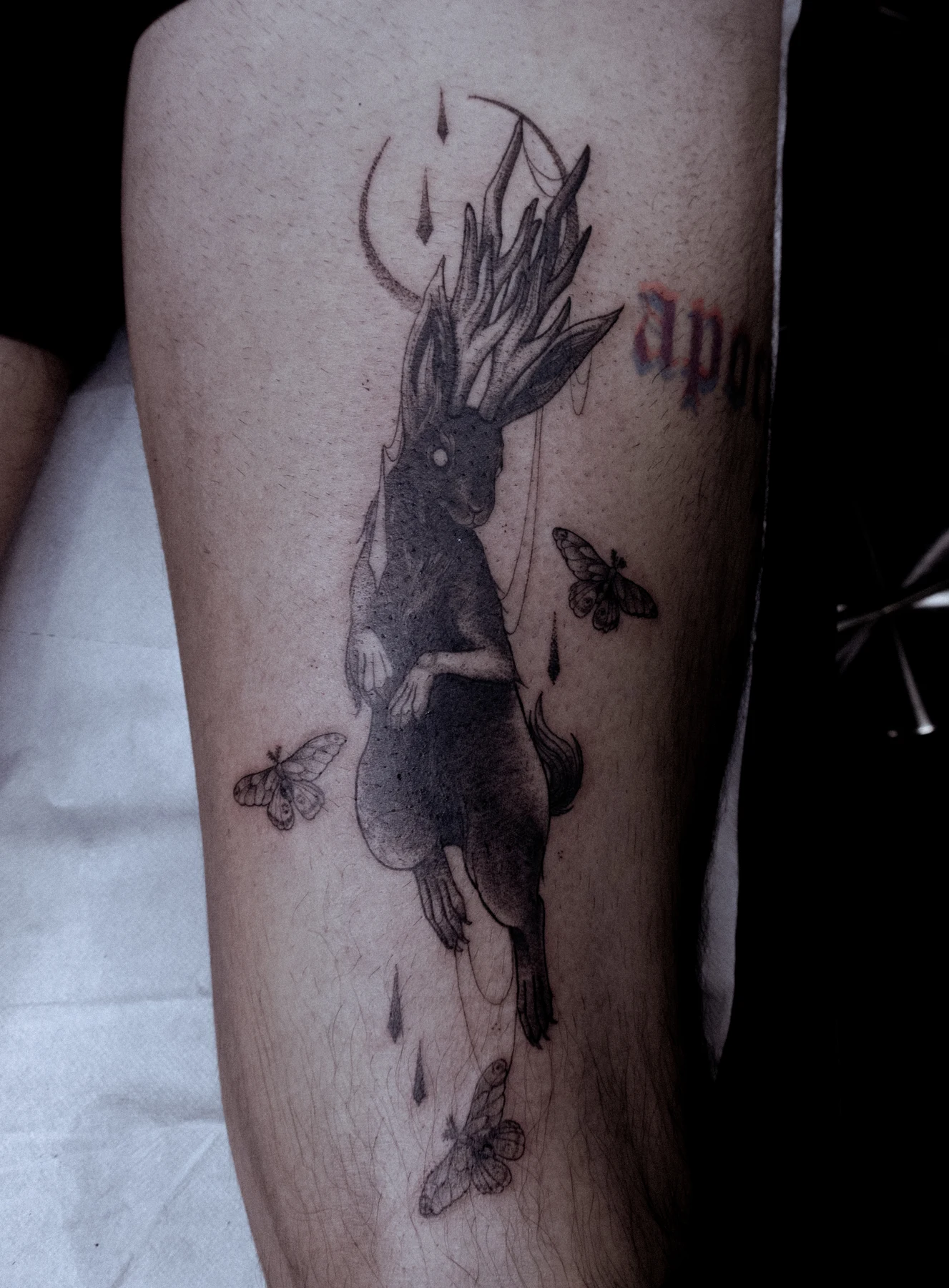 Tatouage fineline réalisé par May, à Toulouse